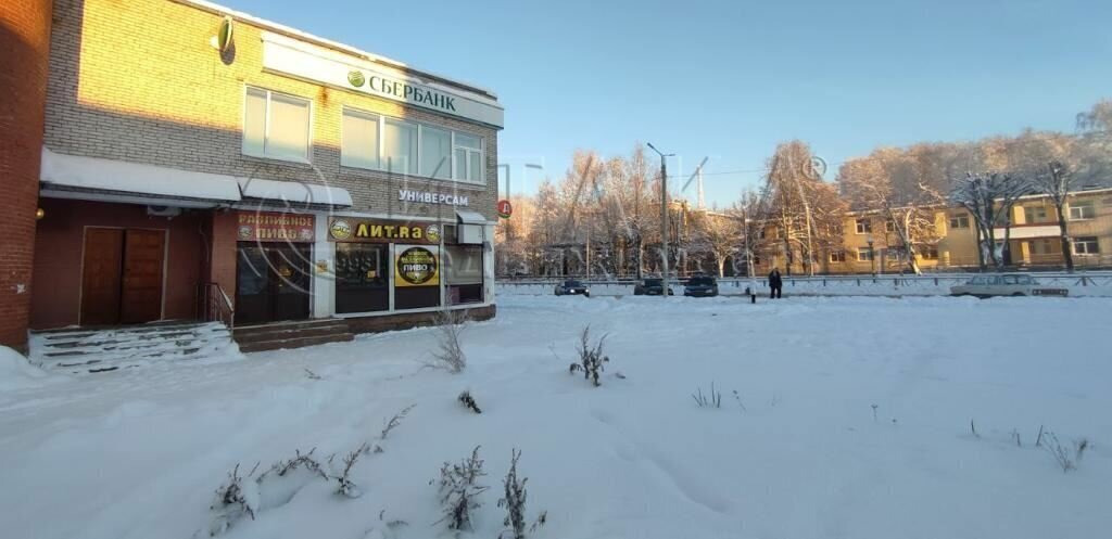 свободного назначения р-н Лодейнопольский г Лодейное Поле ул Гагарина 6к/1 фото 5