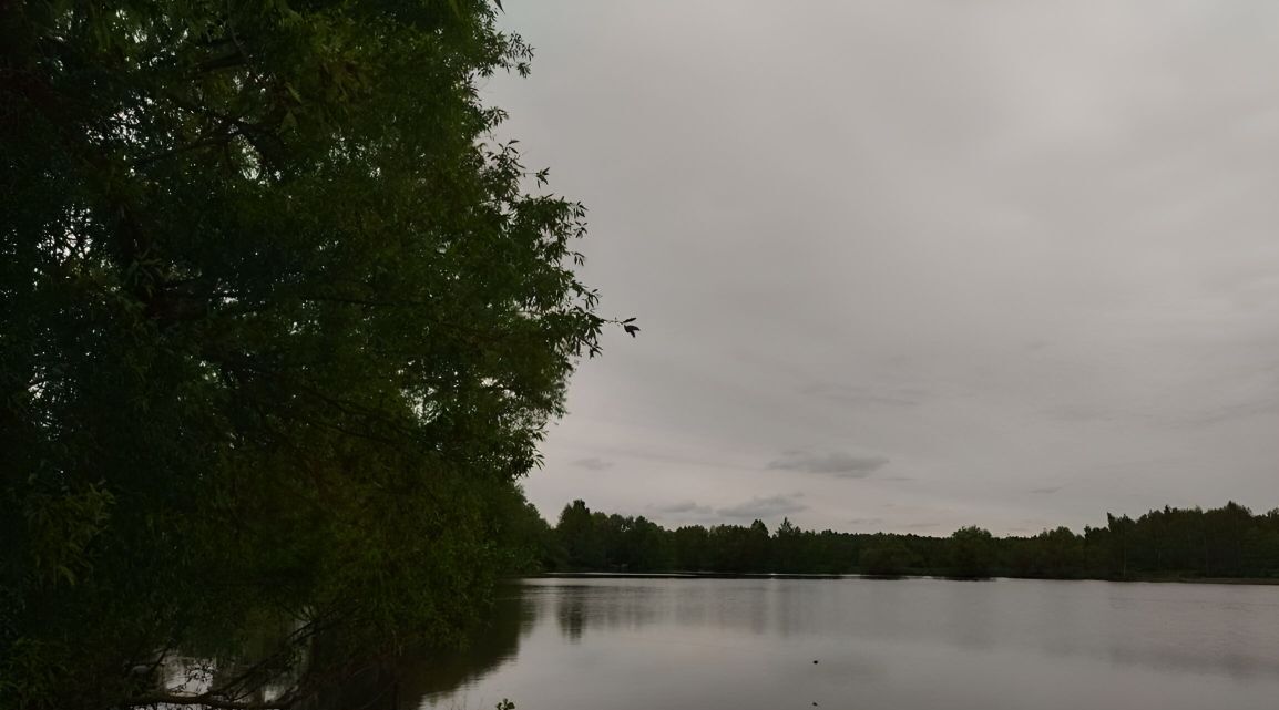 земля городской округ Раменский д Булгаково фото 1