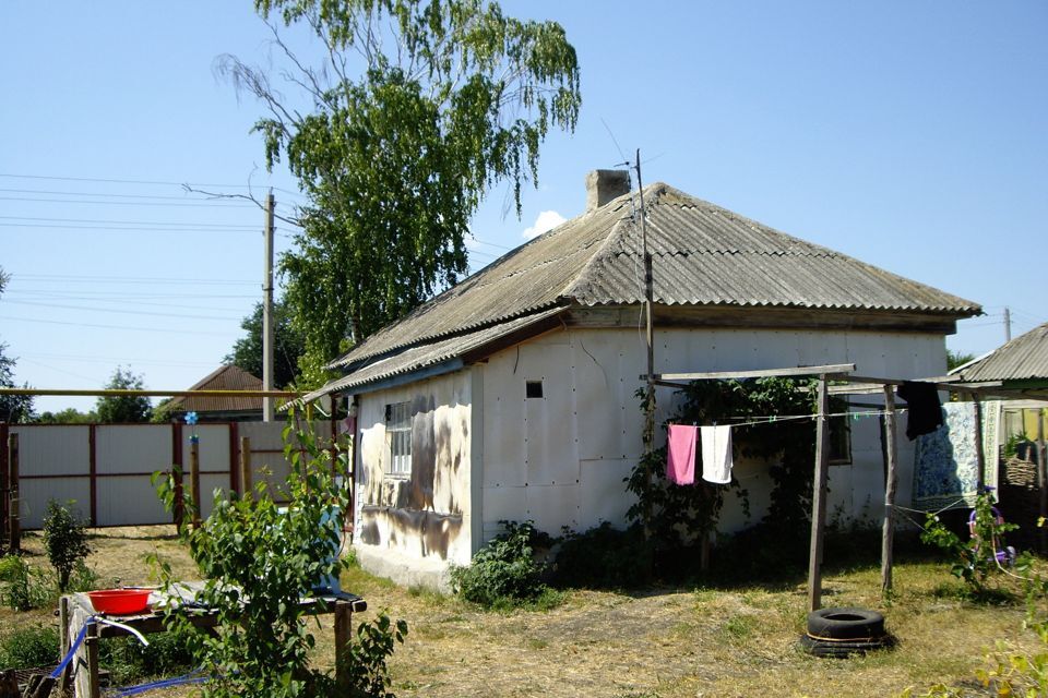 дом р-н Верхнемамонский село Осетровка фото 2