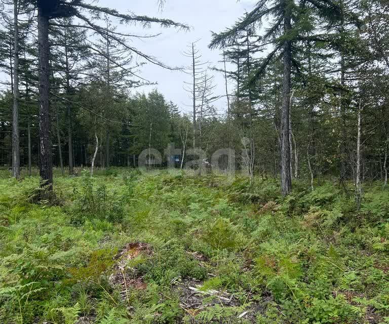 земля р-н Корсаковский село Дачное фото 4