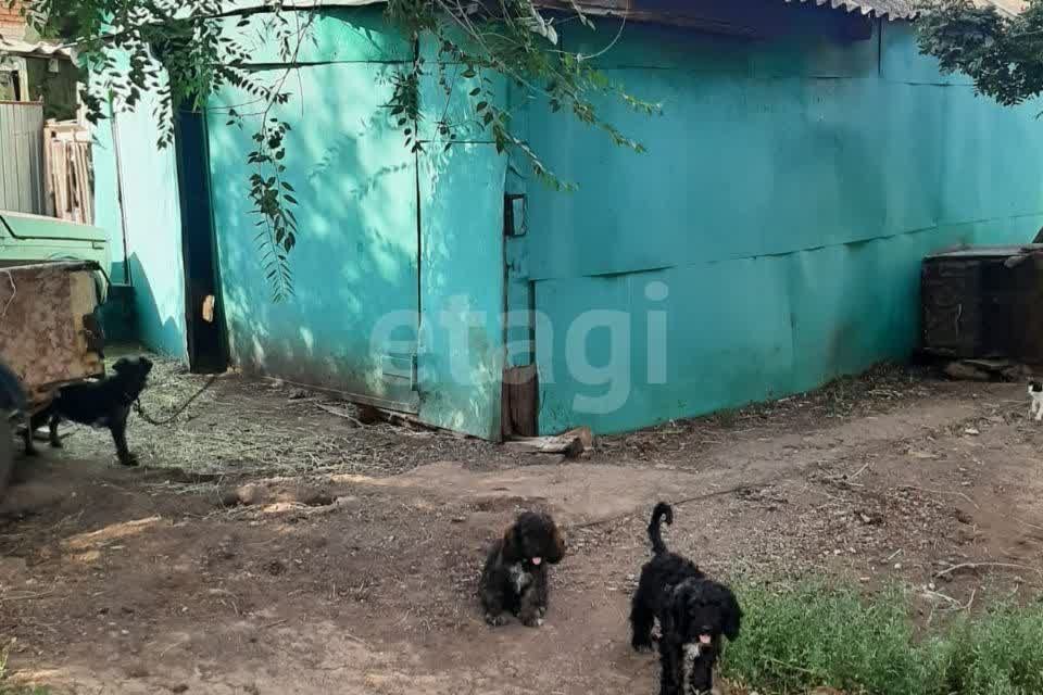 дом р-н Оренбургский село Никольское фото 4