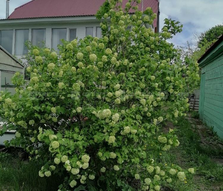 дом р-н Высокогорский село Сая фото 4