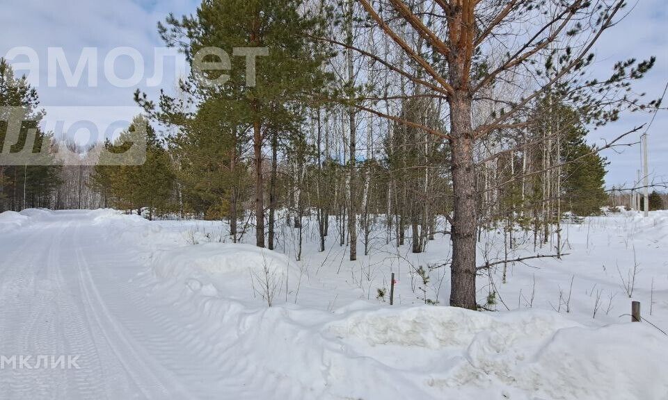 земля р-н Нижнетавдинский фото 1