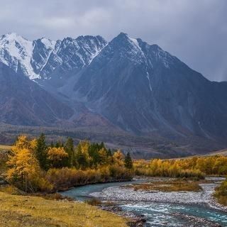 земля р-н Кош-Агачский фото 1