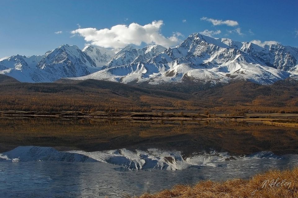 земля р-н Кош-Агачский фото 1