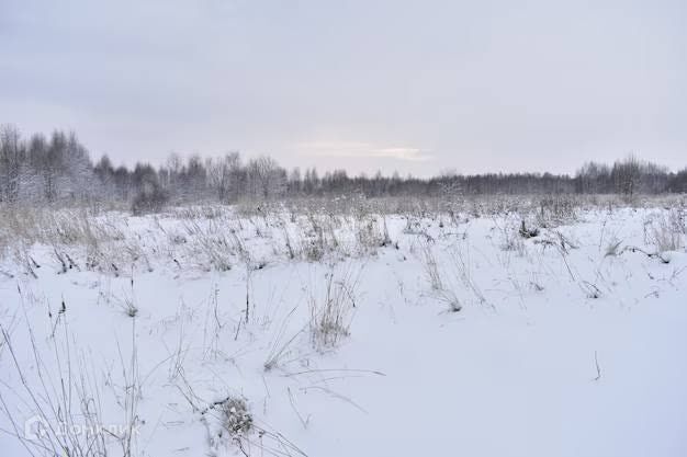 земля Берсеневское сельское поселение, посёлок Чекаевский фото 3