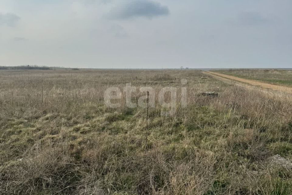 земля р-н Черноморский село Межводное фото 4