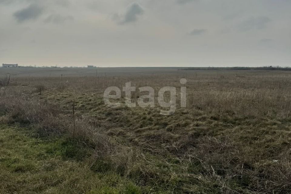 земля р-н Черноморский село Межводное фото 3