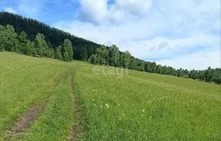 земля р-н Чемальский село Анос фото 2