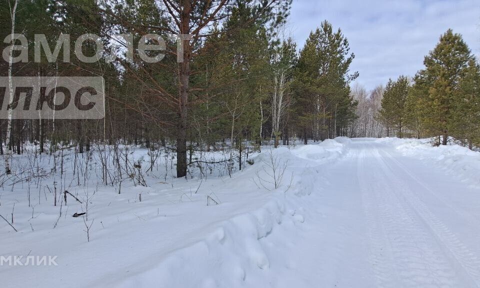 земля р-н Нижнетавдинский фото 2