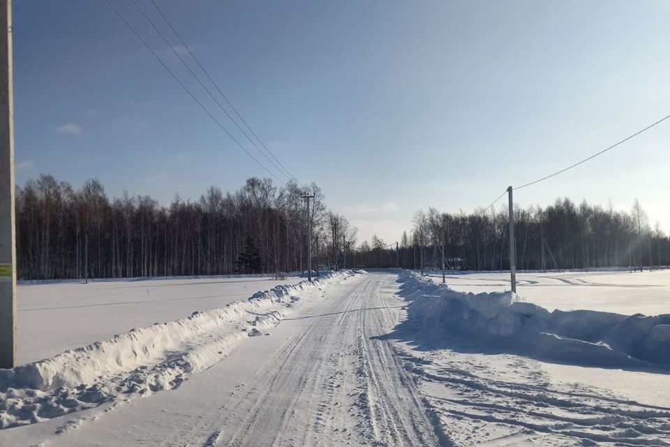 земля р-н Тюменский ДНТ Дачи Хюгге фото 3