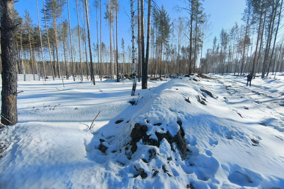 земля г Екатеринбург Екатеринбург, коттеджный посёлок Седьмая Дача, муниципальное образование фото 3