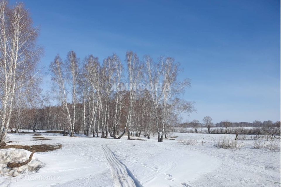 земля р-н Новосибирский с Пайвино ул Медовая фото 3