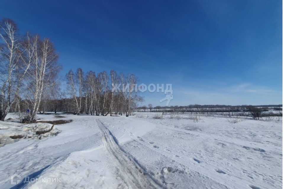 земля р-н Новосибирский с Пайвино ул Медовая фото 2