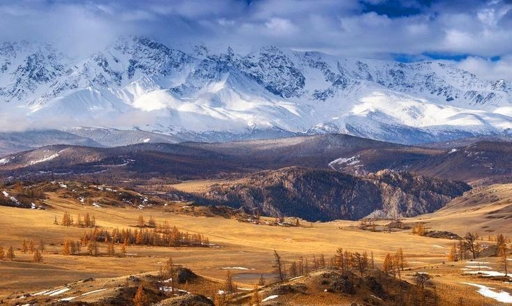 земля р-н Кош-Агачский фото 3