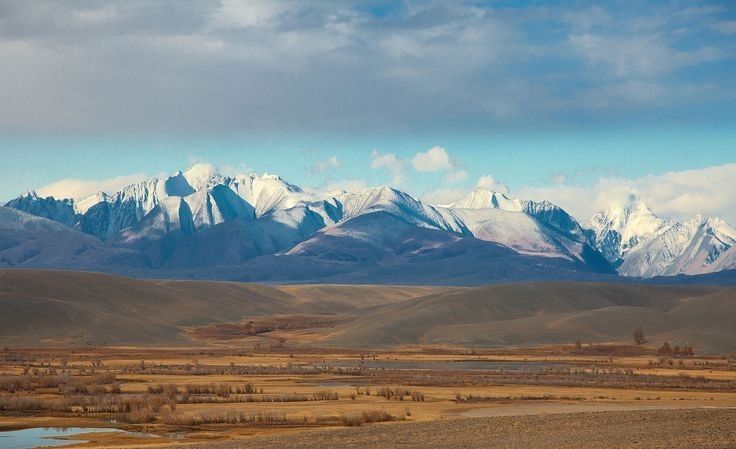 земля р-н Кош-Агачский фото 3