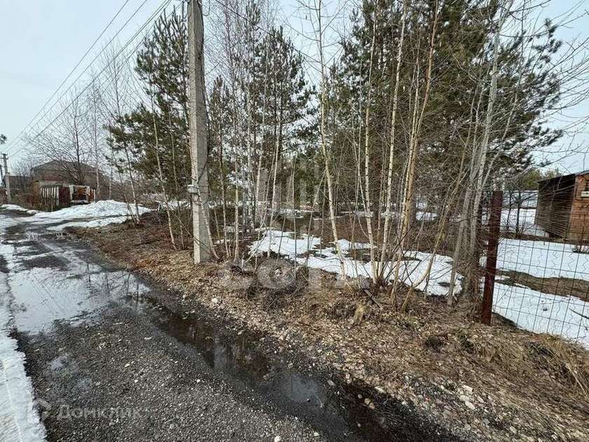 земля р-н Рамонский снт Политехник сектор К, 3 фото 3