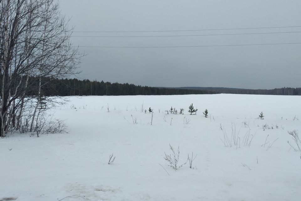 земля городской округ Ревда, урочище Шумиха фото 2