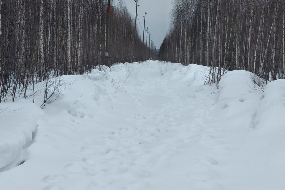 земля городской округ Ревда, урочище Шумиха фото 4