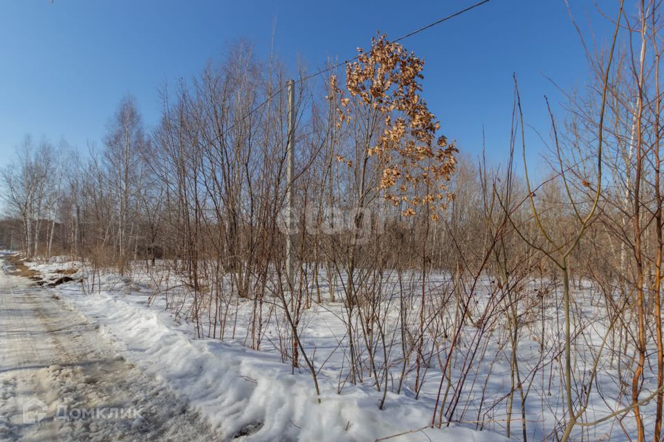 земля г Хабаровск ул Осиновая городской округ Хабаровск фото 4