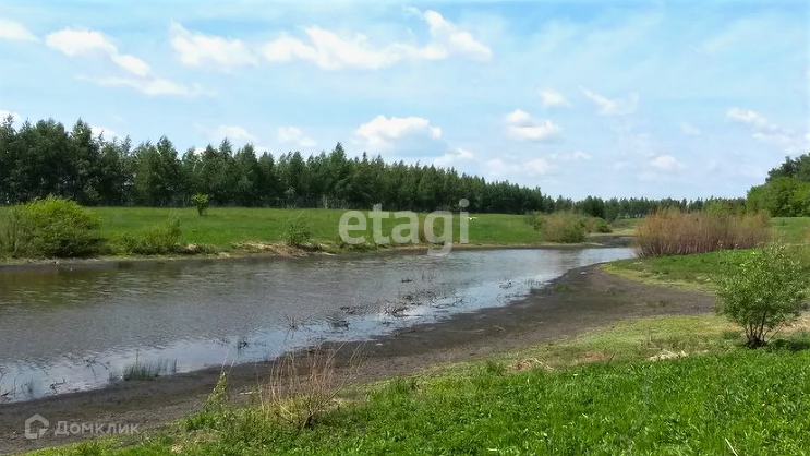 земля р-н Тамбовский д Малиновка 1-я ул Грудская фото 7