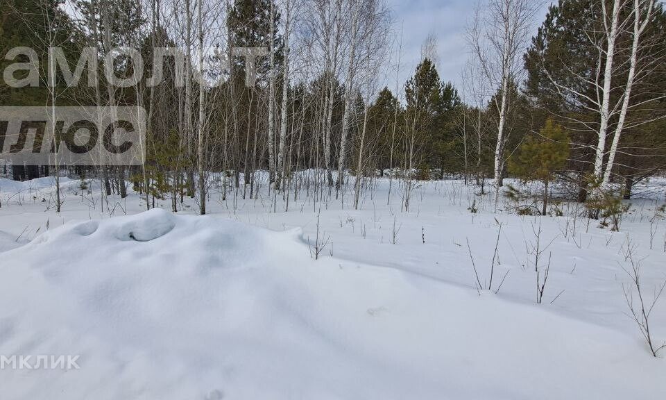 земля р-н Нижнетавдинский фото 5