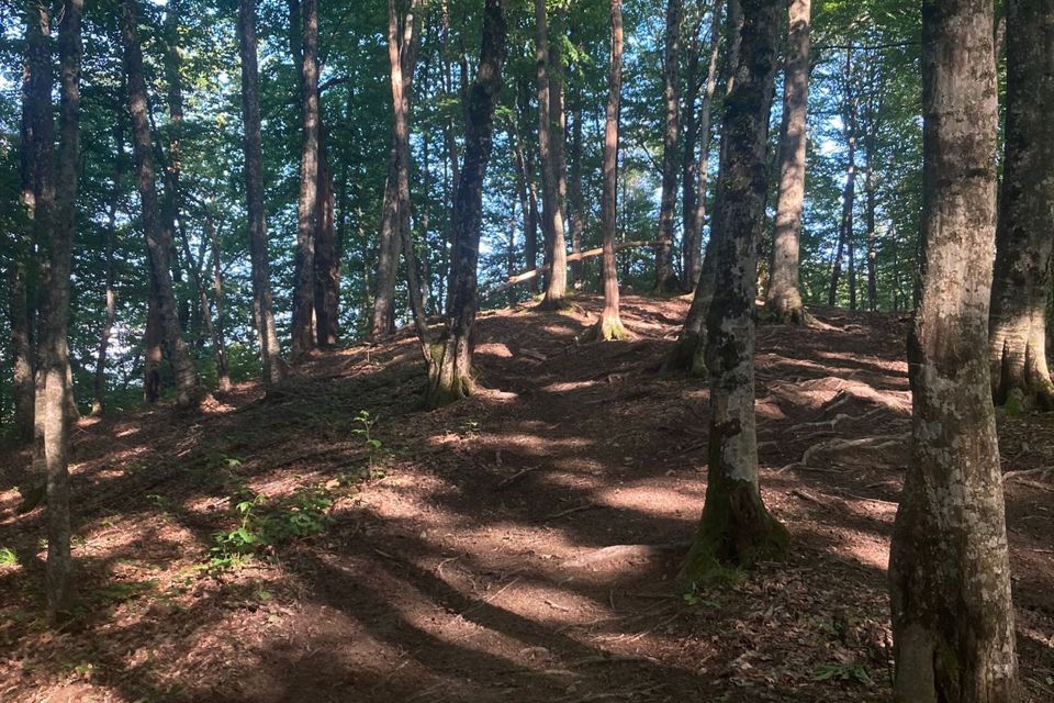 земля городской округ Сочи, Лазаревский район фото 10