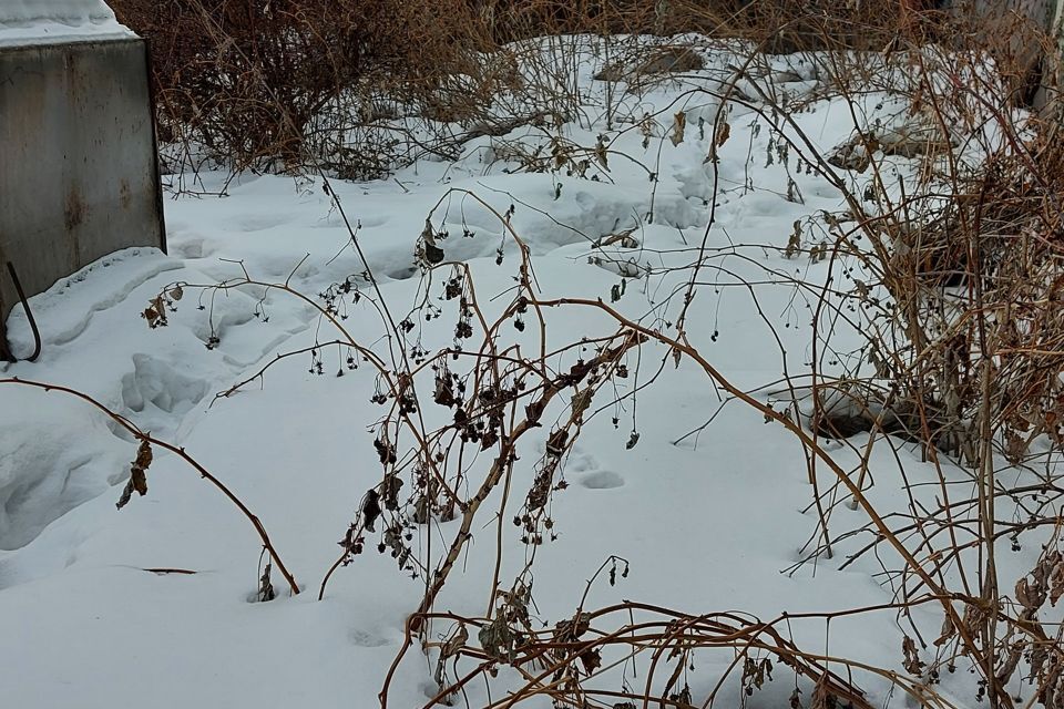 дом г Красноярск ул Подъемная 36а городской округ Красноярск фото 9