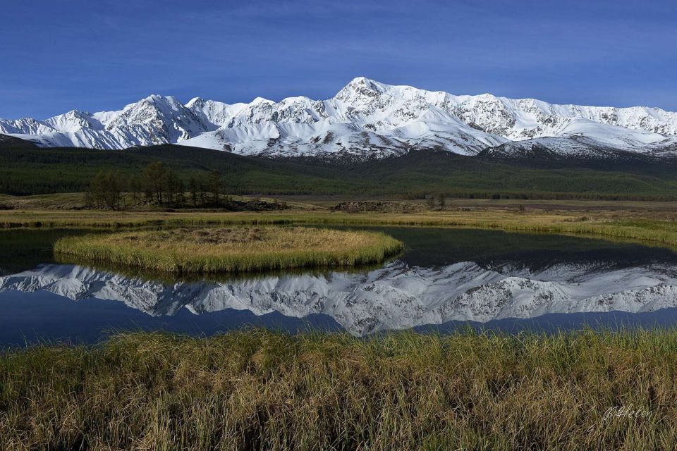 земля р-н Кош-Агачский фото 5