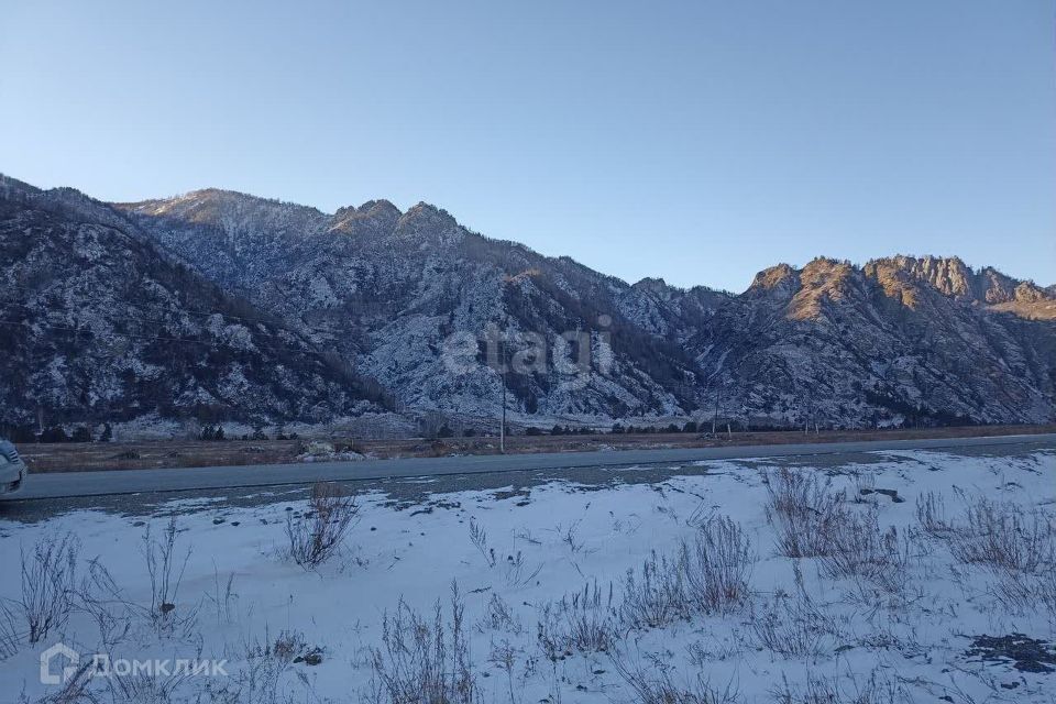 земля р-н Чемальский с Куюс ул Центральная фото 2