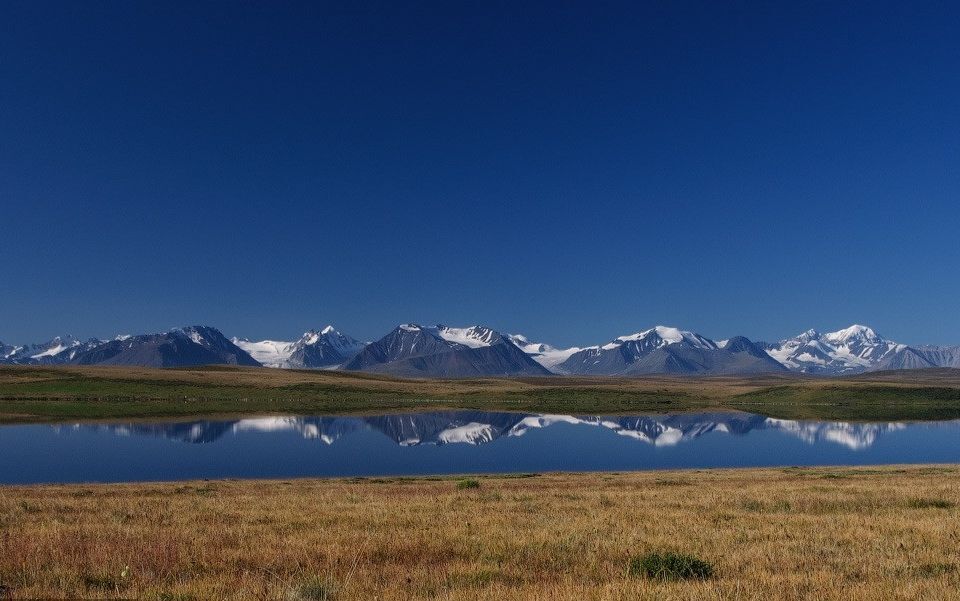 земля р-н Кош-Агачский фото 3