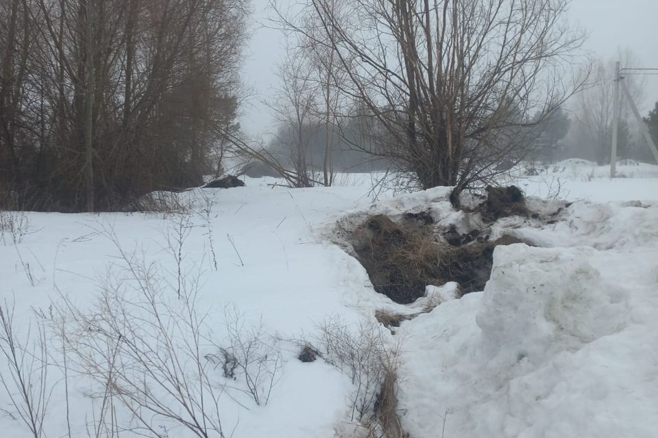 земля р-н Чердаклинский СНТ Восток фото 3