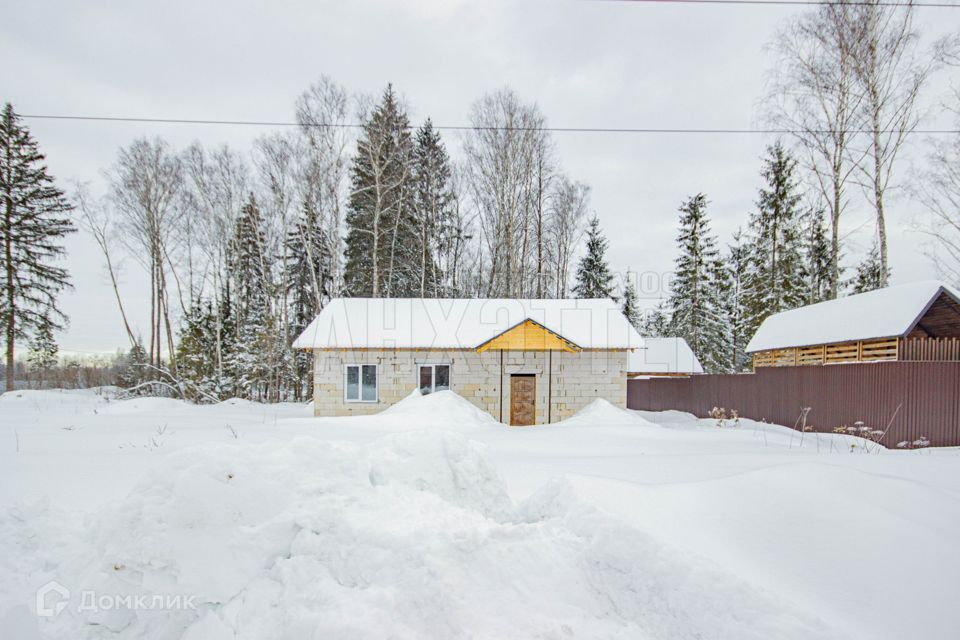 дом городской округ Наро-Фоминский деревня Турейка фото 1