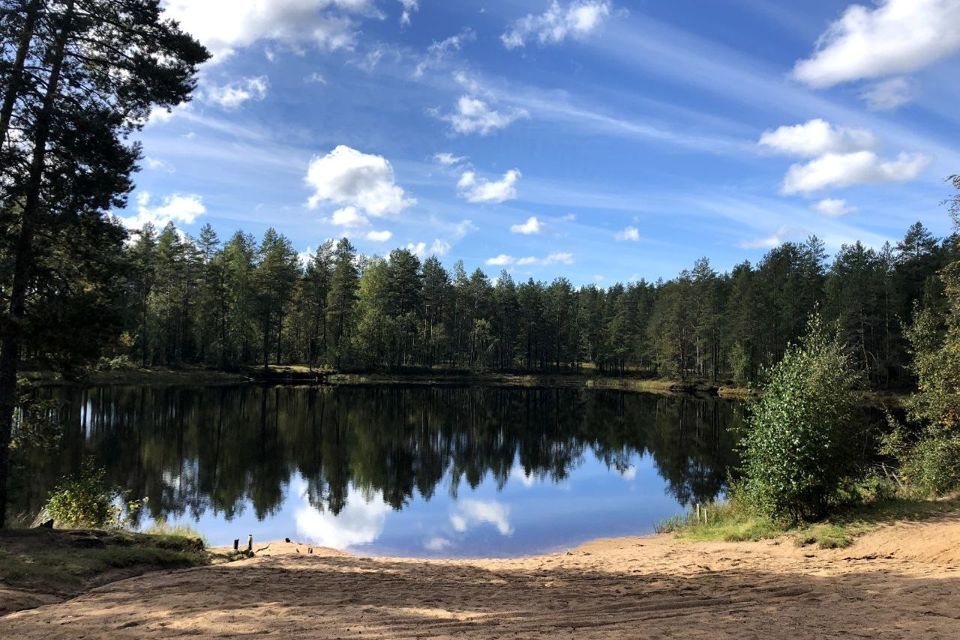 земля р-н Выборгский Рощинское городское поселение фото 1