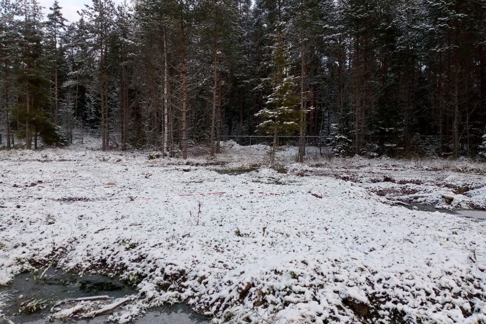 земля р-н Выборгский Рощинское городское поселение фото 3