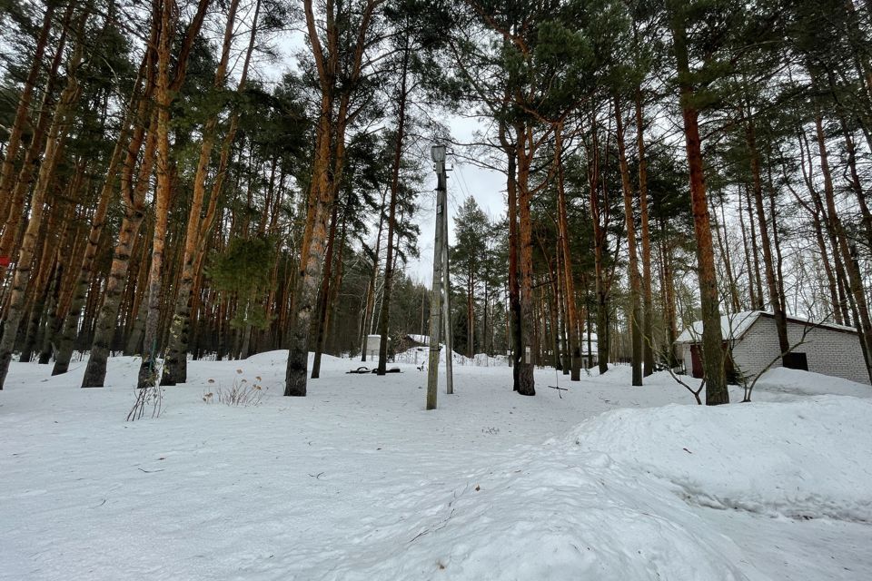 земля р-н Конаковский Безбородовское охотхозяйство фото 5