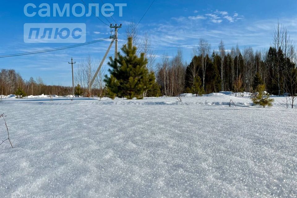 земля р-н Нижнетавдинский СНТ Сундукуль фото 9