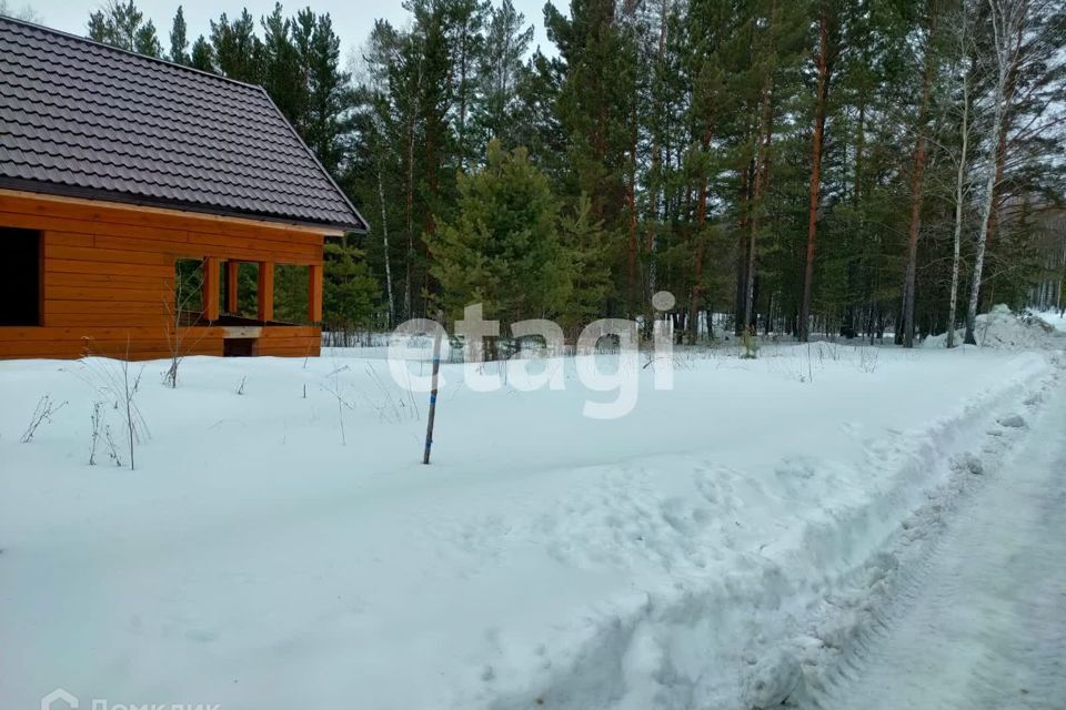 земля р-н Емельяновский дачное некоммерческое товарищество Лесное фото 9