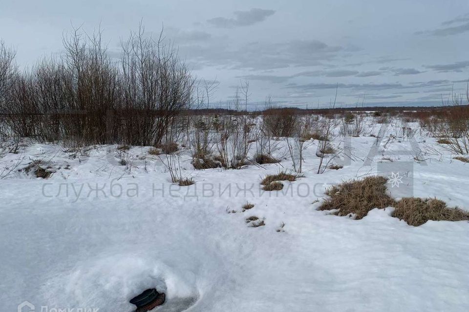 земля р-н Костромской посёлок Никольское фото 9