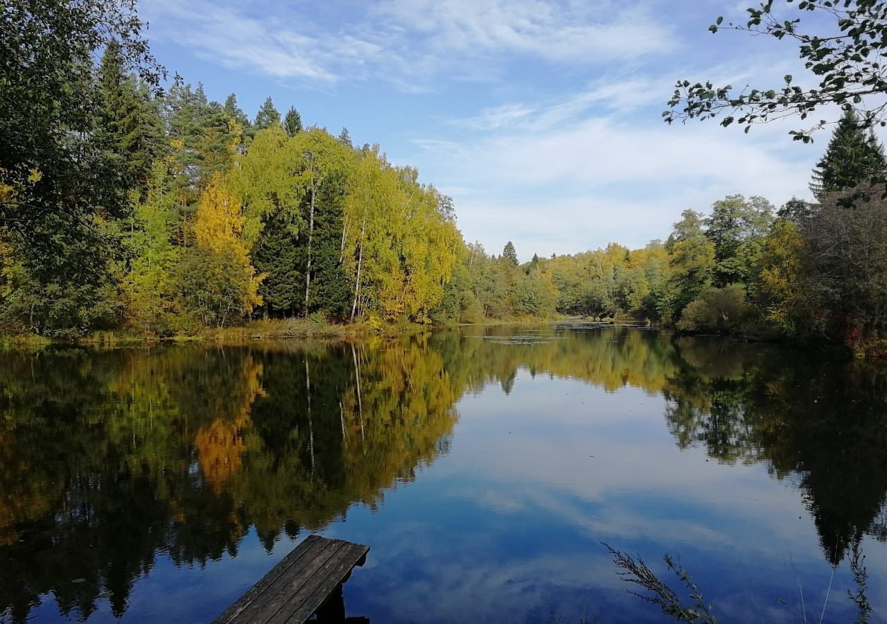 земля городской округ Наро-Фоминский д Жёдочи снт Магнит 22, Апрелевка фото 8