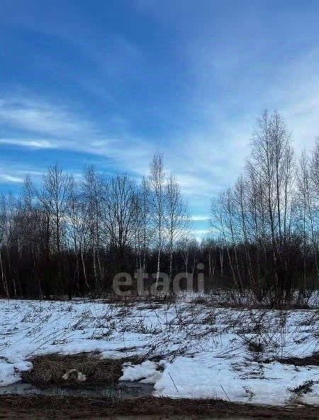 земля р-н Боровский д Кабицыно снт тер.Фемида Совхоз Боровский с пос фото 2