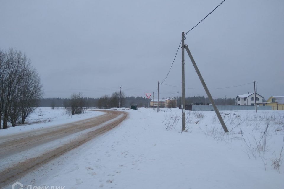 земля р-н Волосовский деревня Новые Раглицы фото 10