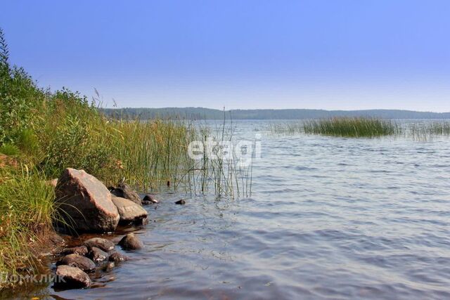 садоводческий массив Восход фото