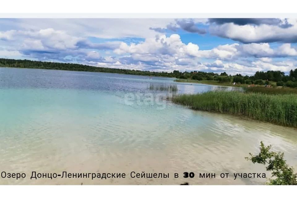 земля р-н Волосовский деревня Большое Кикерино фото 3