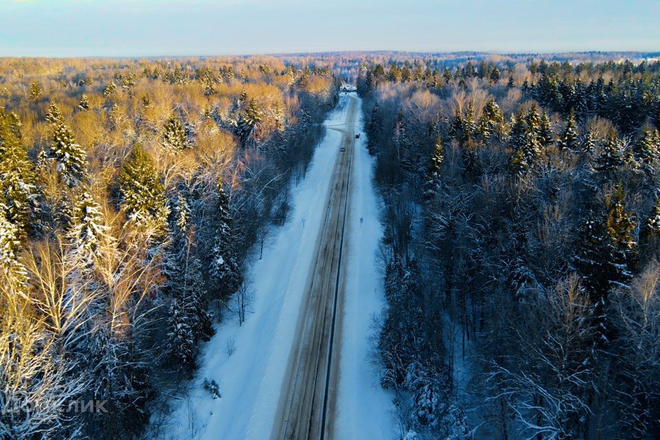 земля городской округ Дмитровский д Сазонки 154 фото 4