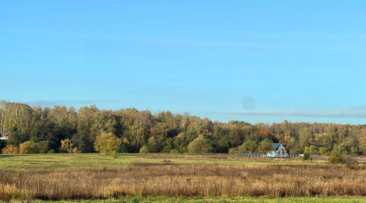 земля городской округ Раменский с Софьино фото 6