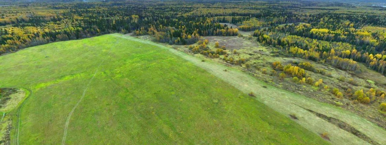 офис городской округ Солнечногорск д Хоругвино Зеленоград — Крюково, 32/2 фото 2