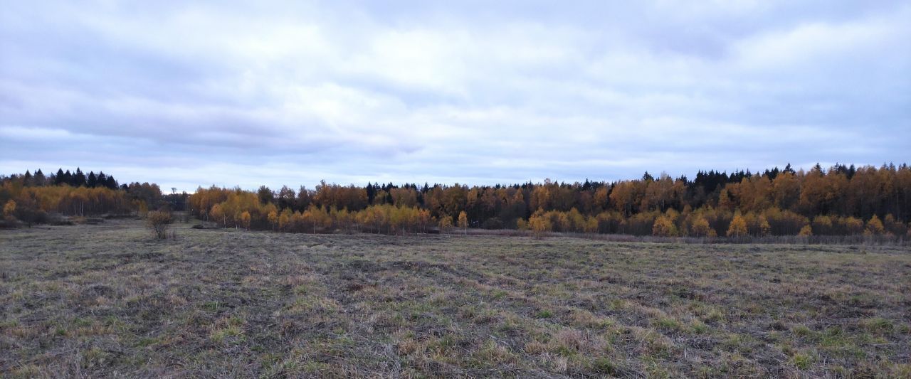 офис городской округ Солнечногорск д Дулепово Химки фото 6