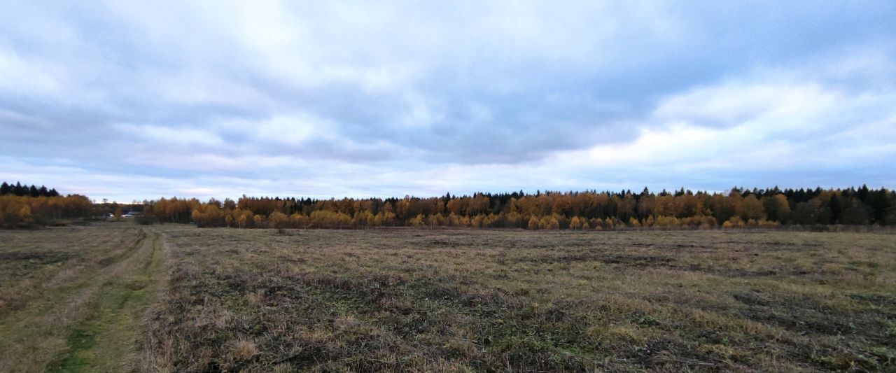 офис городской округ Солнечногорск д Дулепово Химки фото 7