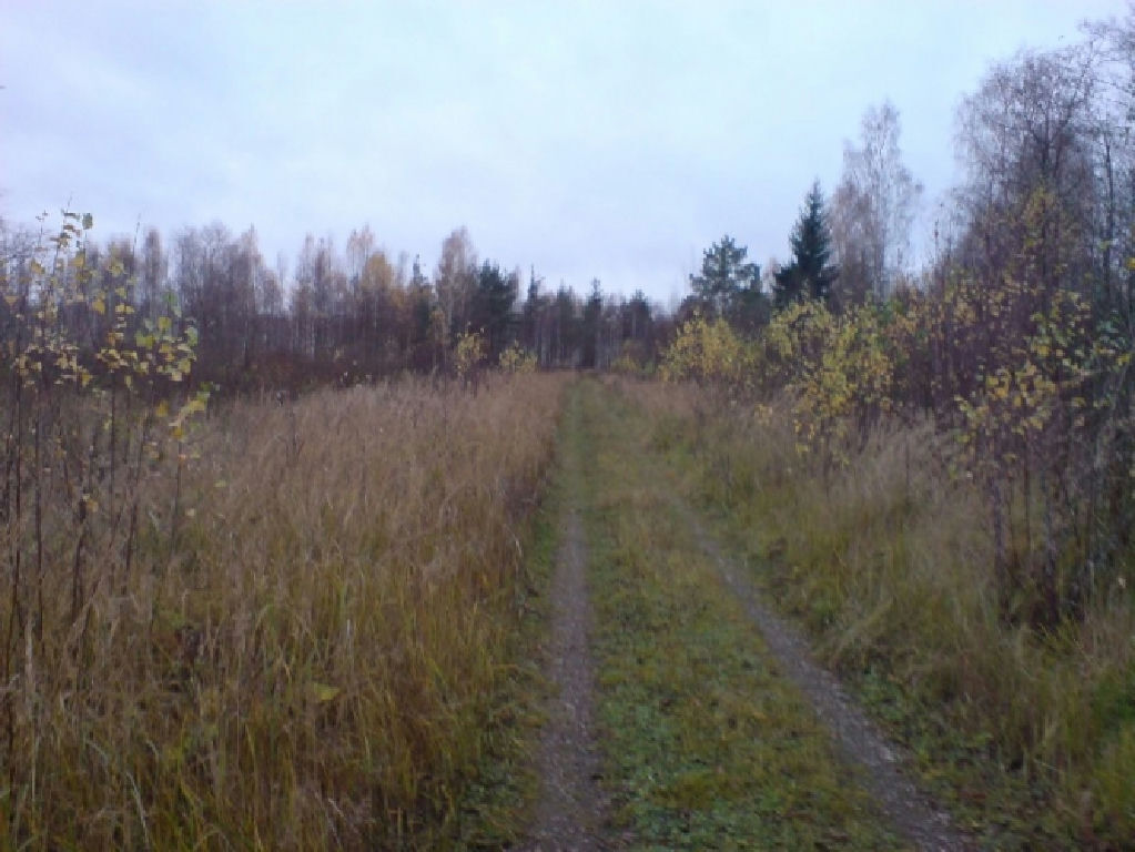 земля городской округ Клин д Масюгино фото 4